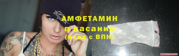 шишки Заволжье