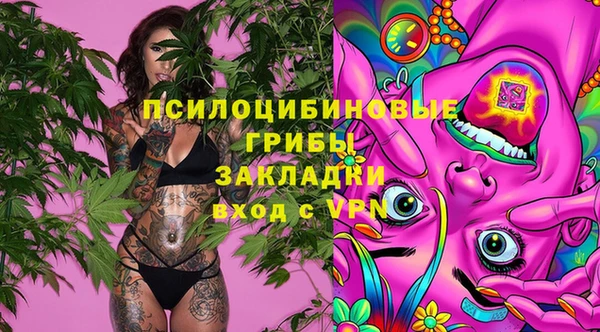 шишки Заволжье