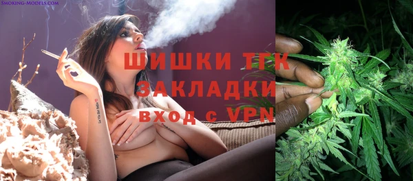 шишки Заволжье