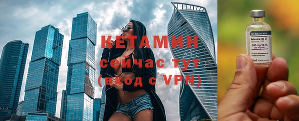 шишки Заволжье