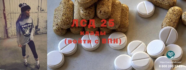 шишки Заволжье