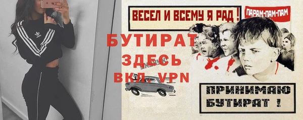 шишки Заволжье