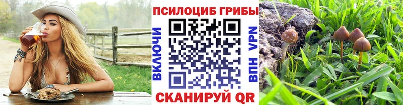 Псилоцибиновые грибы Magic Shrooms  Купить закладки  Зеленокумск 